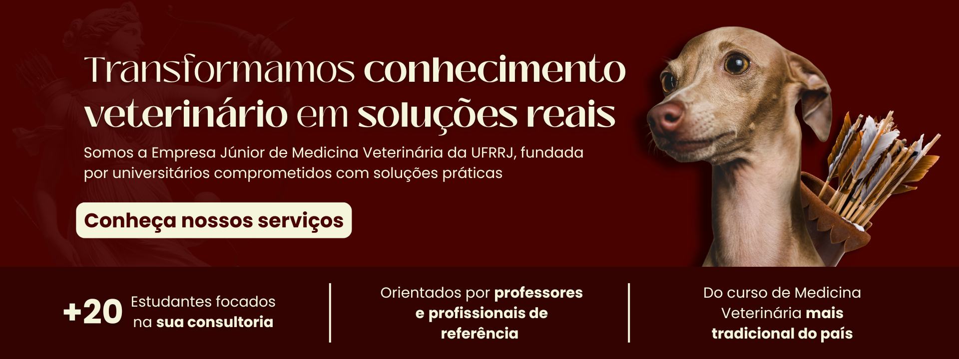 Transformamos conhecimento veterinário em soluções reais — Ártemis Soluções Veterinárias