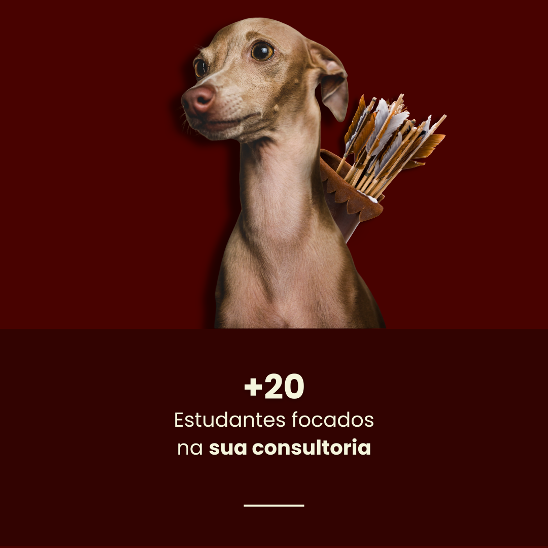 Ártemis — +20 estudantes focados na sua consultoria