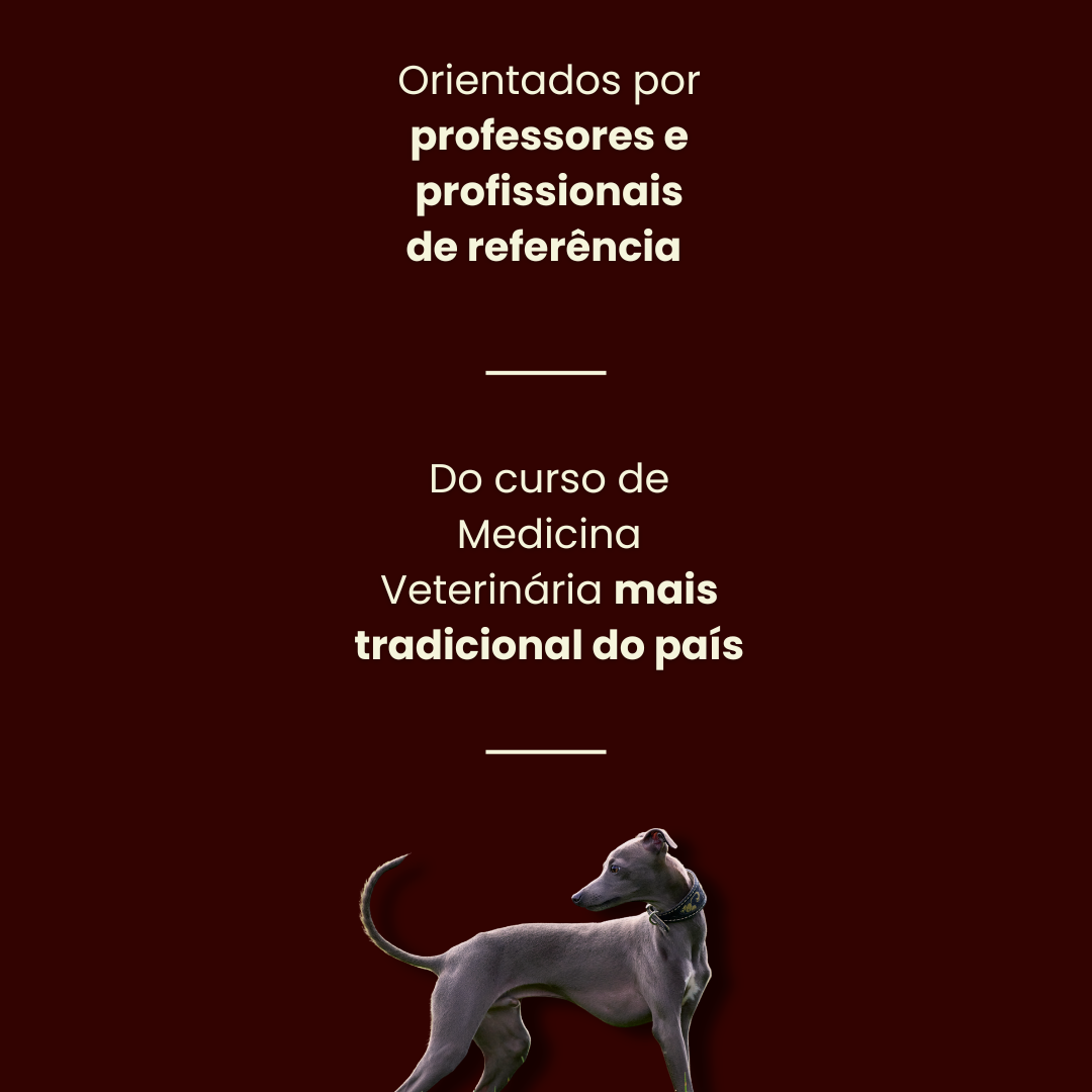 Ártemis — Orientados por professores e profissionais de referência
